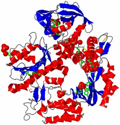 Image Asym./Biol. Unit - sites