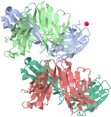 Image Biological Unit 1