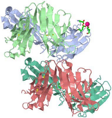 Image Biol. Unit 1 - sites