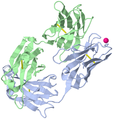 Image Biological Unit 3