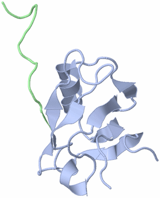 Image NMR Structure - model 1