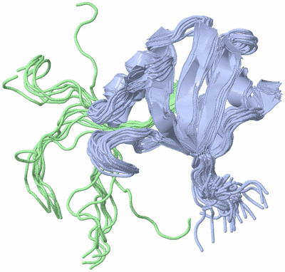 Image NMR Structure - all models