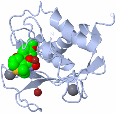 Image Biological Unit 1