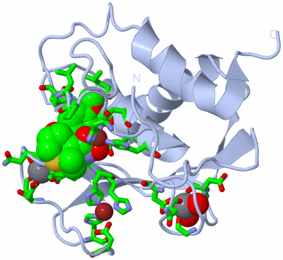 Image Biol. Unit 1 - sites