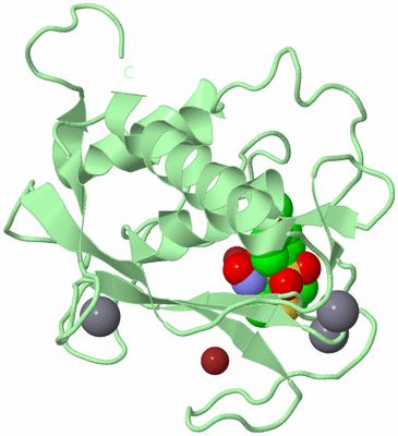 Image Biological Unit 2