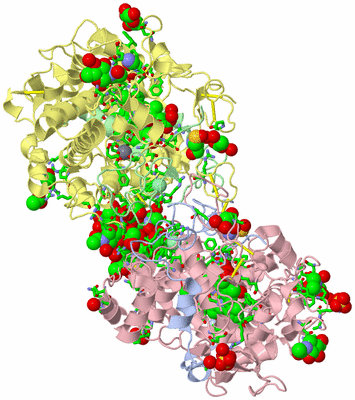 Image Biol. Unit 1 - sites