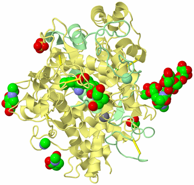 Image Biological Unit 2