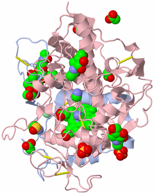 Image Biological Unit 3