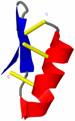 Image NMR Structure - model 1