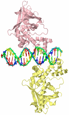 Image Biological Unit 2