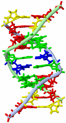 Image NMR Structure - model 1