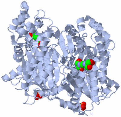 Image Biological Unit 1