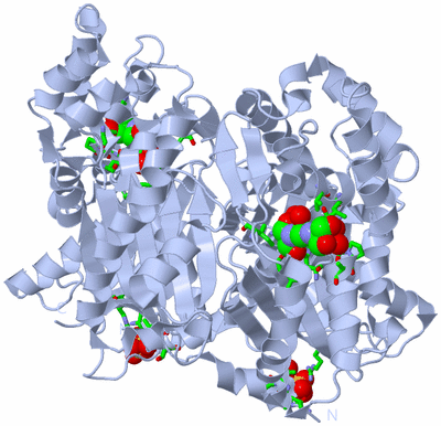 Image Biol. Unit 1 - sites