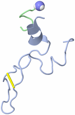 Image NMR Structure - model 1