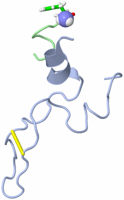 Image NMR Structure - model 1, sites
