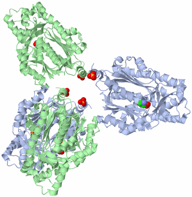 Image Biological Unit 1