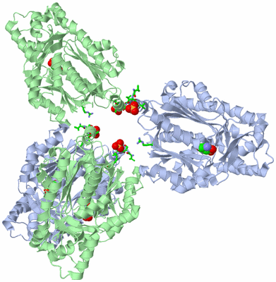 Image Biol. Unit 1 - sites