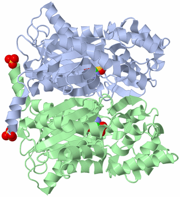 Image Biological Unit 2