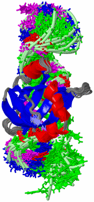 Image NMR Structure - all models