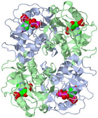 Image Biological Unit 2