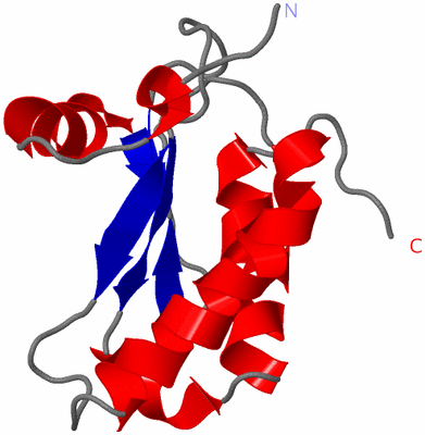 Image NMR Structure - model 1