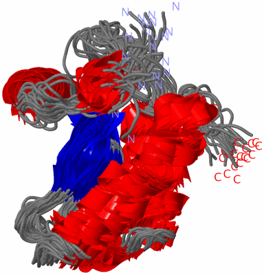 Image NMR Structure - all models