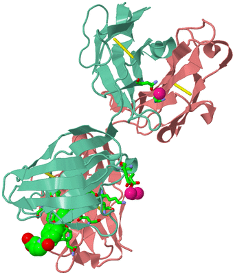 Image Asym./Biol. Unit - sites