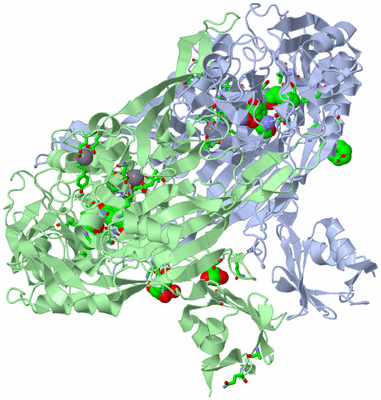 Image Asym./Biol. Unit - sites