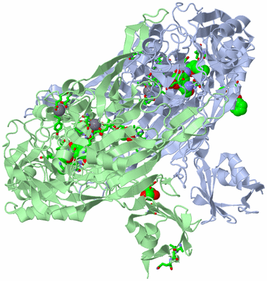 Image Asym./Biol. Unit - sites