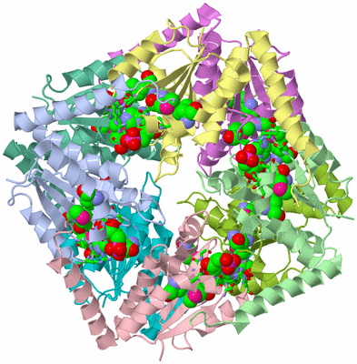 Image Asym./Biol. Unit - sites