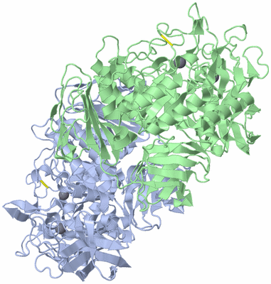 Image Asym./Biol. Unit