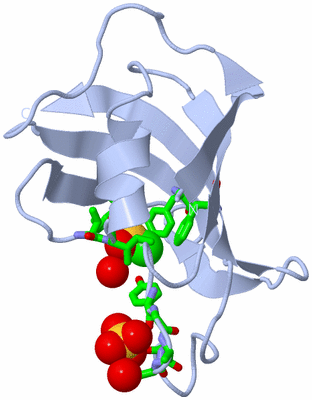 Image Biol. Unit 1 - sites