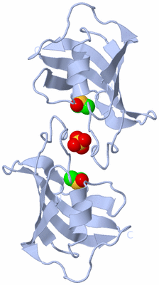 Image Biological Unit 3