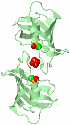 Image Biological Unit 4