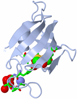 Image Biol. Unit 1 - sites