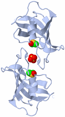 Image Biological Unit 3