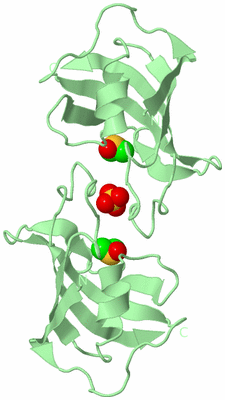 Image Biological Unit 4