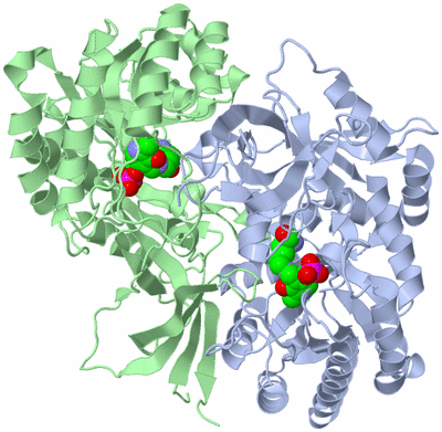 Image Asym./Biol. Unit