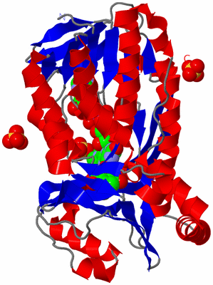 Image Asymmetric Unit