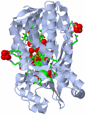 Image Biol. Unit 1 - sites