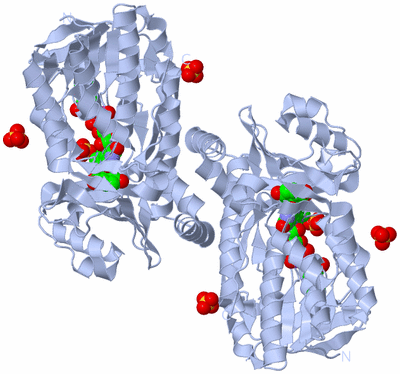 Image Biological Unit 2