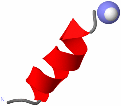 Image NMR Structure - model 1