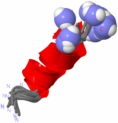 Image NMR Structure - all models