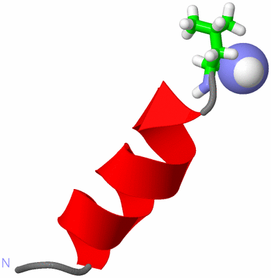 Image NMR Structure - model 1, sites