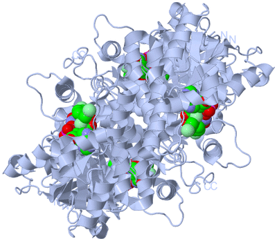 Image Biological Unit 1