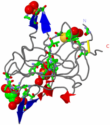 Image Asym./Biol. Unit - sites