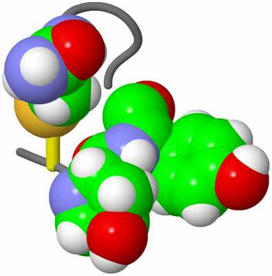 Image NMR Structure - model 1