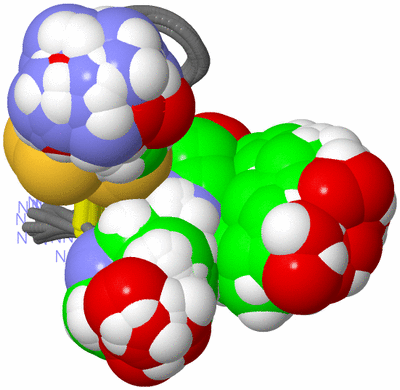 Image NMR Structure - all models