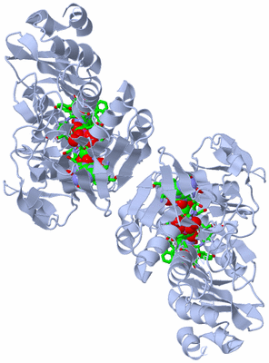 Image Biol. Unit 1 - sites