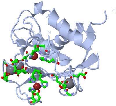 Image Biol. Unit 1 - sites